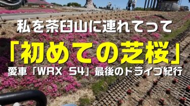 【WRX S4】初めての芝桜、愛車とのお別れドライブ